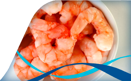Cooked & Peeled Prawns