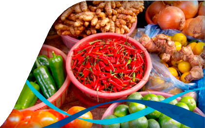 Wholesale Products